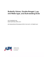 API STD 609-2021