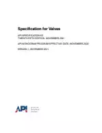 API SPEC 6D-2021