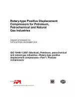 API STD 619-2010