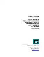 CGA C-6.2-2009