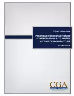 CGA C-11-2019