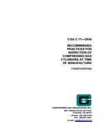 CGA C-11-2006