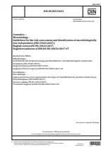 DIN EN ISO 29621