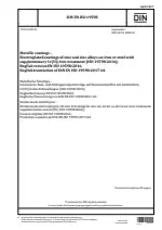 DIN EN ISO 19598