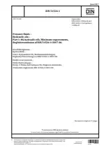 DIN 51524-1