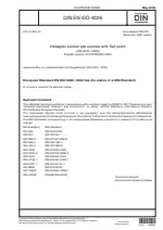 DIN EN ISO 4026