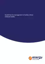 Guidelines for Management of Safety...