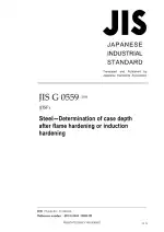 JIS G 0559:2008