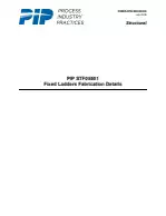 PIP STF05501:2018