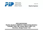 PIP PLX01CS1S02:2020