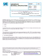 SAE AMS 5895F:2021