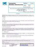 SAE AMS 5848E:2018